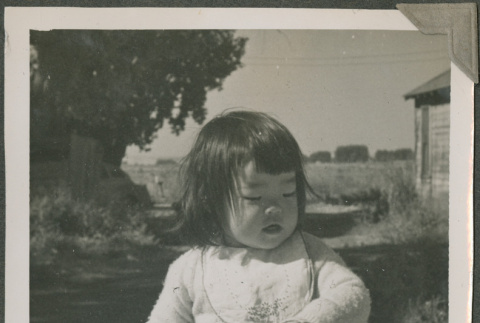 Toddler sitting on a deck (ddr-densho-201-985)