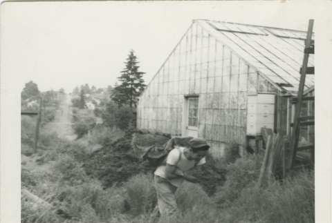 Boy walking by greenhouse (ddr-densho-136-32)