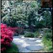 Stone path and landscaping (ddr-densho-377-1478)