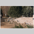 Landscaping (ddr-densho-377-2447)