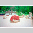 Rock garden (ddr-densho-377-2611)
