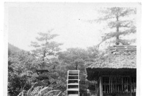 front and back of photograph (ddr-one-2-553-mezzanine-3822131000)