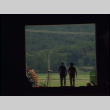 William Kochiyama and Robert H. Foote walking around a Cornell university farm; B-roll from farm (ddr-densho-1007-1519)