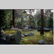 Rock garden (ddr-densho-377-2360)