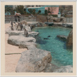 The Coney Island Aquarium penguin pen (ddr-densho-377-272)