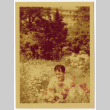 Man sitting among the flowers (ddr-densho-433-1155)