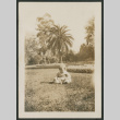 baby sitting on lawn (ddr-densho-378-591)