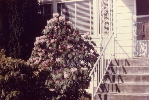 Front porch of the old family house (white) (ddr-densho-354-546)