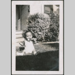 Baby sitting on lawn (ddr-densho-316-253)