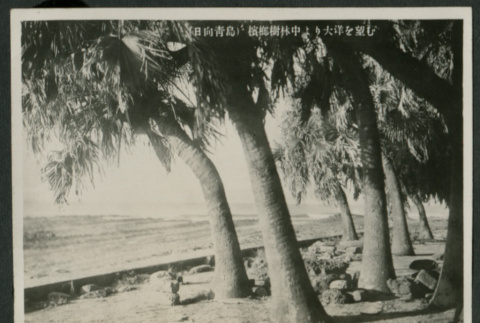 Beach landscape (ddr-densho-359-104)