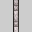 Negative film strip for Farewell to Manzanar scene stills (ddr-densho-317-87)