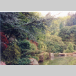 Japanese Garden from Stroll Garden (ddr-densho-354-1733)