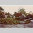 Pool landscaping (ddr-densho-377-1777)