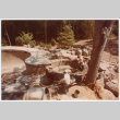 Pool under construction (ddr-densho-377-2520)