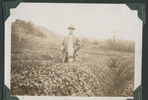Photo of man in field (ddr-densho-355-315)