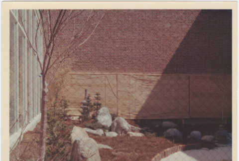 Japanese Garden at Dartmouth College (ddr-densho-377-47)