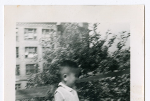 Photo of a child walking down a sidewalk near a fence (ddr-densho-483-738)