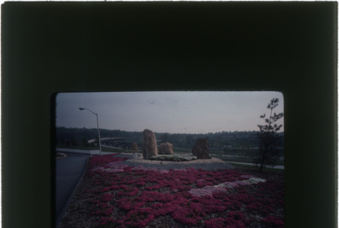 Landscaping at the AMF project (ddr-densho-377-938)