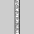 Negative film strip for Farewell to Manzanar scene stills (ddr-densho-317-177)