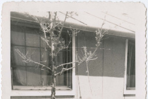 Photo front and back (ddr-densho-470-5-mezzanine-3bb277f506)