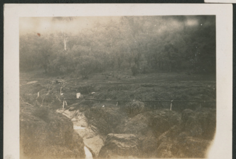 creek and woods (ddr-densho-378-599)