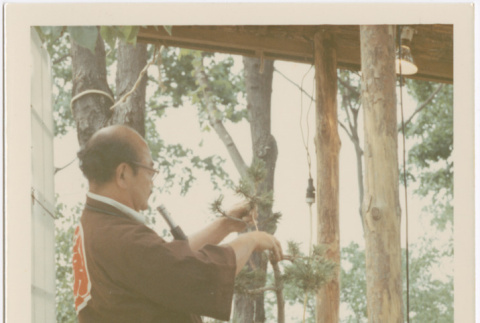 Kaneji Domoto giving a bonsai demonstration at Hill Nursery (ddr-densho-377-349)
