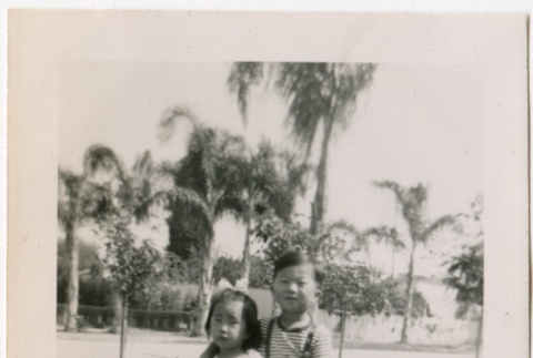 Japanese American children (ddr-densho-325-268)