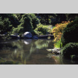 Japanese Garden, looking glass bridge (ddr-densho-354-633)