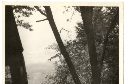 photograph (ddr-one-2-476-mezzanine-f9e974de51)