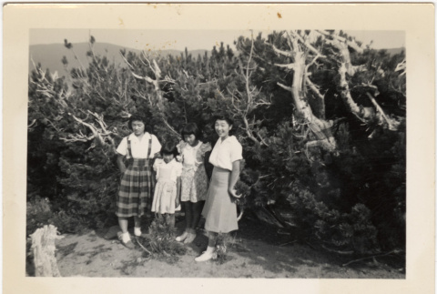 Four girls by trees (ddr-densho-409-40)