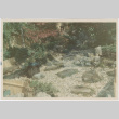 Hideo Iyeki's garden (ddr-densho-392-87)