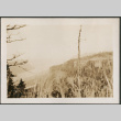 View of river (ddr-densho-316-267)