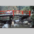 Working on the Heart Bridge at Adopt a Park (ddr-densho-354-1010)