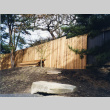 Renton Avenue fence construction (ddr-densho-354-1812)