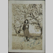 A woman standing under fruit trees (ddr-densho-321-1167)