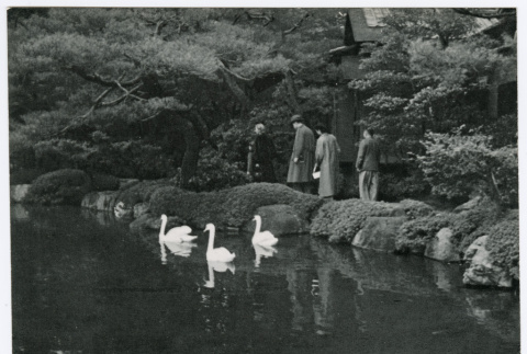 Four People Visiting Pond (ddr-ohs-1-115)