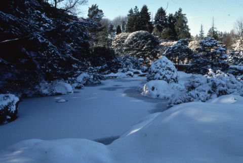 Japanese Garden pond after snow storm (ddr-densho-354-1021)