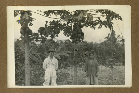 Japanese Peruvian workers (ddr-csujad-33-44)