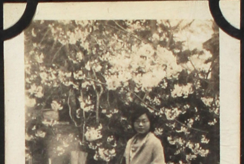 Tomoye (Nozawa) Takahashi by flowering trees (ddr-densho-423-519)