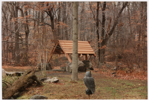 Gazebo (ddr-densho-377-2457)