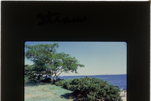 Garden with a water view at the Straus project (ddr-densho-377-600)