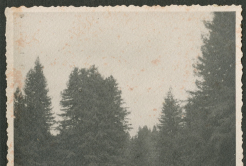 Archway (ddr-densho-378-939)