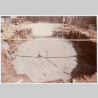 Pool under construction (ddr-densho-377-1807)