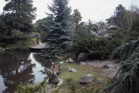 Pond, looking toward concrete pad (ddr-densho-354-1113)