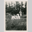Three children and an adult in the field, with a car in the background (ddr-densho-458-23)
