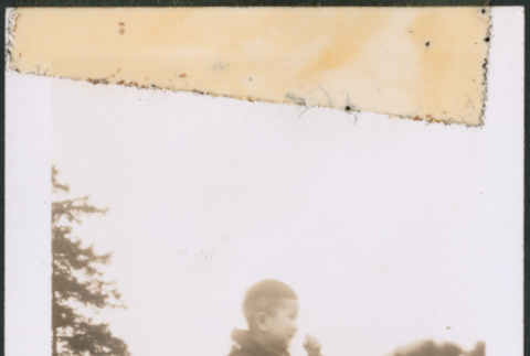 Boy on a pony (ddr-densho-483-1090)