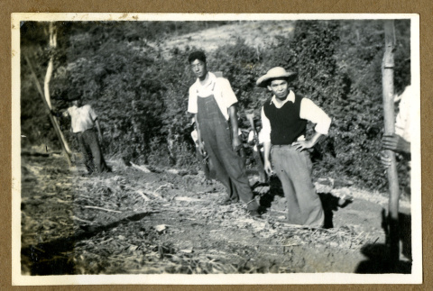 Japanese Peruvian workers (ddr-csujad-33-53)