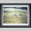 Koura and Hayashida Family farm (ddr-densho-544-16)