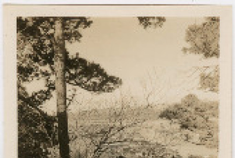 Photo,  front and back (ddr-densho-426-1390-mezzanine-06f44c7bf2)