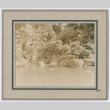 Kubota Garden (ddr-densho-544-11)